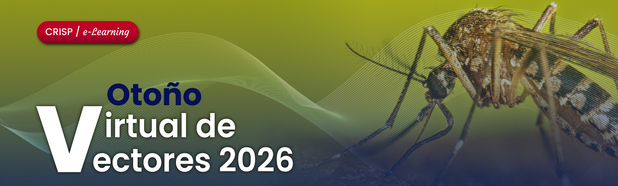 Otoño Virtual de Vectores 2026 — CRISP e-Learning · ESPM/INSP