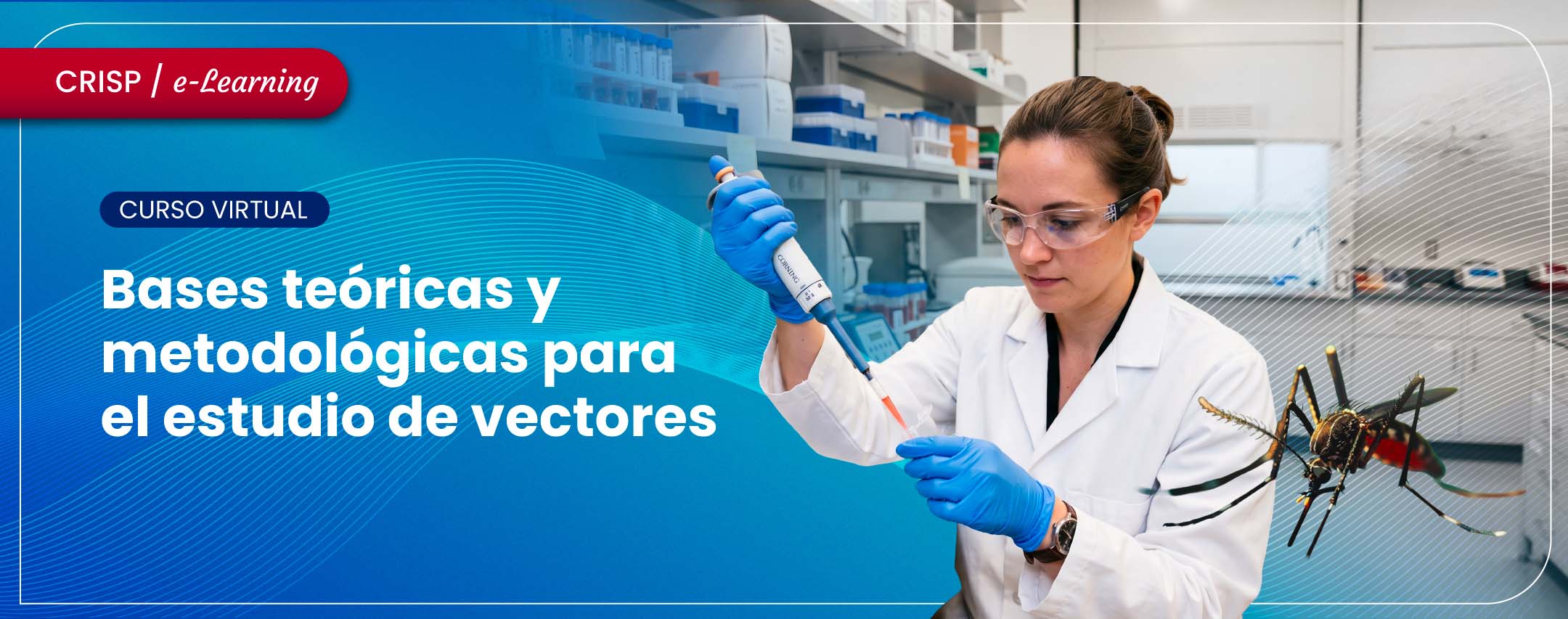 Bases teóricas y metodológicas para el estudio de vectores