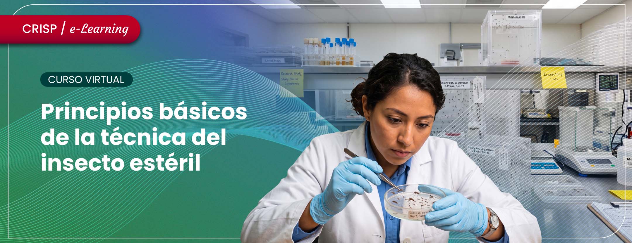 Principios básicos de la técnica del insecto estéril