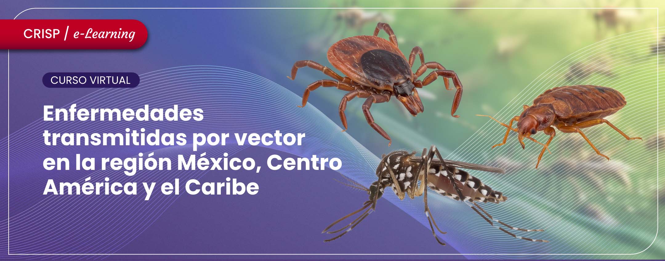 Enfermedades transmitidas por vector en la Región México, Centro América y el Caribe