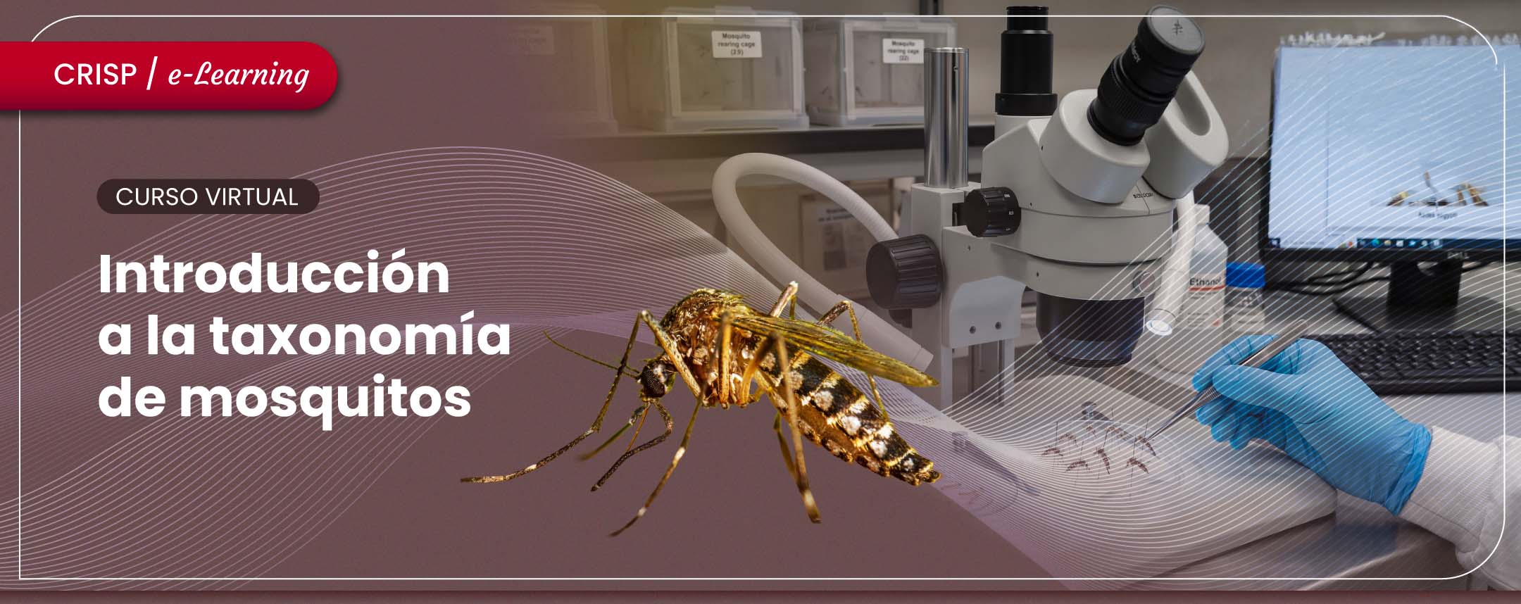 Introducción a la taxonomía de mosquitos
